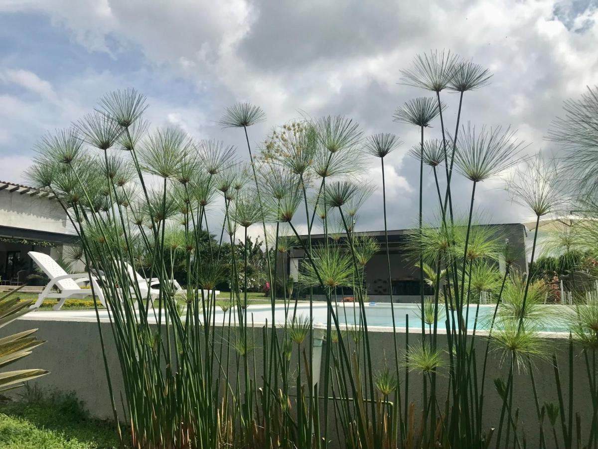 Torcaza Casa De Campo Quimbaya Zewnętrze zdjęcie